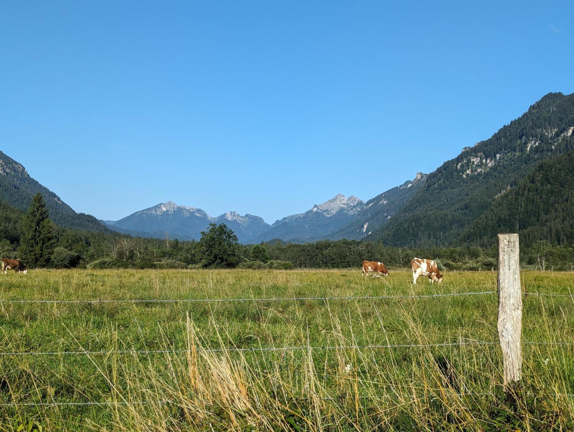 Zur Alten Schmiede Ettal Exterior foto